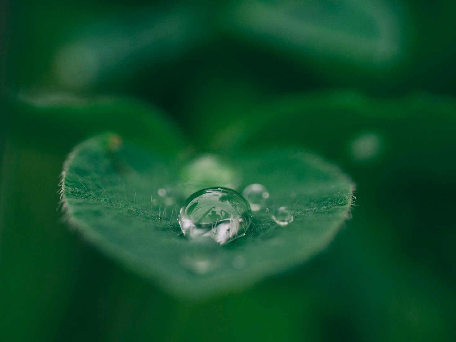 Building a Conscious Future in Wellness