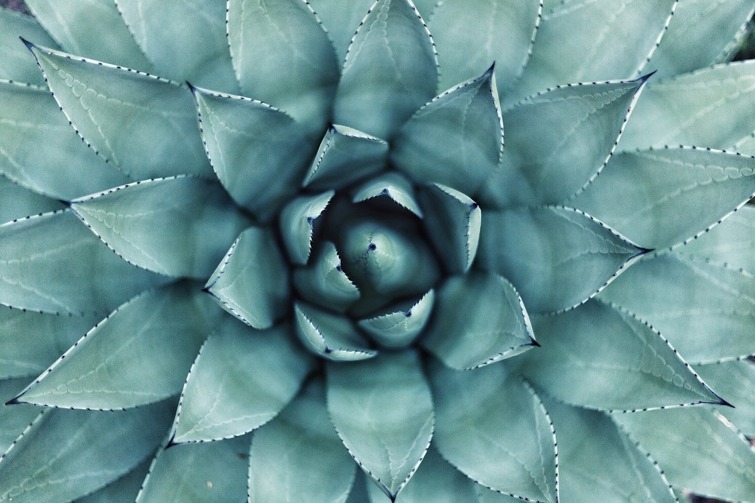 Creating Impactful Change Through Mindful Practices